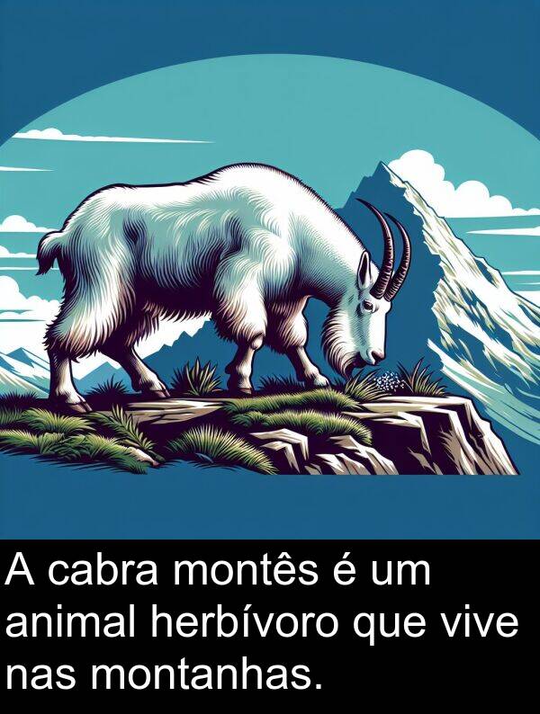 nas: A cabra montês é um animal herbívoro que vive nas montanhas.