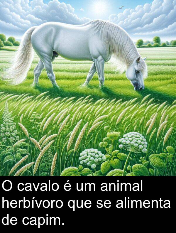 alimenta: O cavalo é um animal herbívoro que se alimenta de capim.