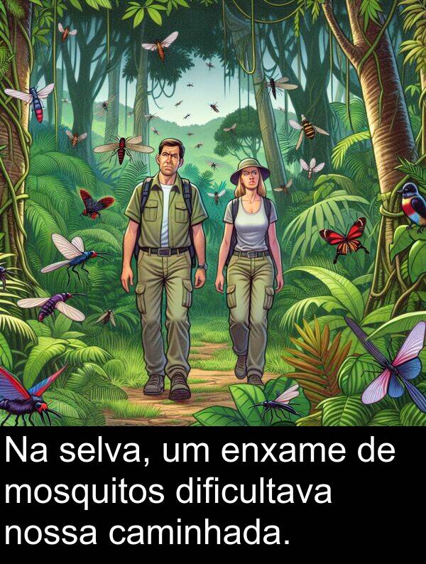 caminhada: Na selva, um enxame de mosquitos dificultava nossa caminhada.