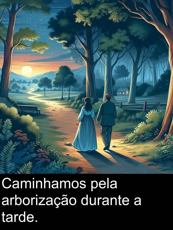 pela: Caminhamos pela arborização durante a tarde.