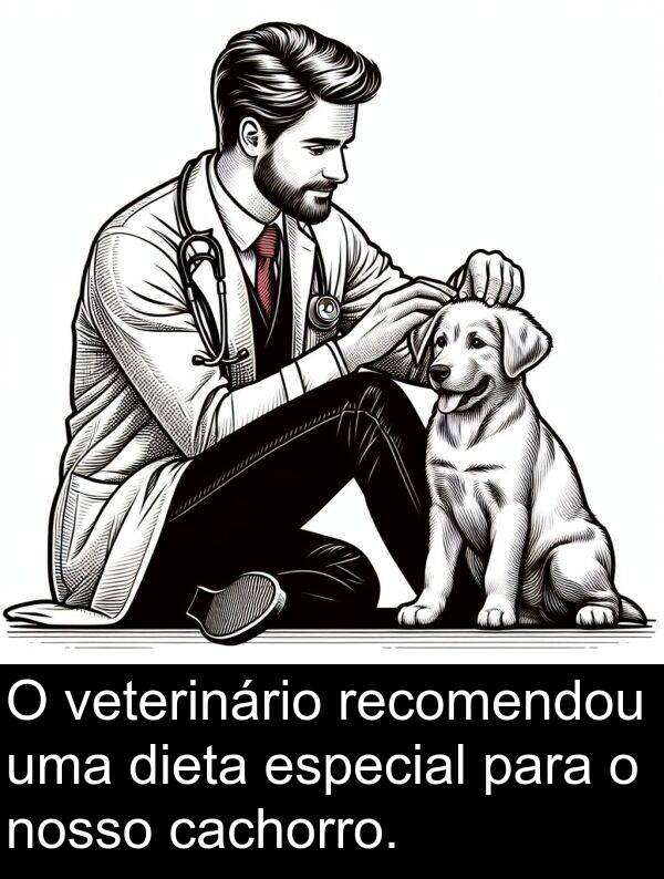 cachorro: O veterinário recomendou uma dieta especial para o nosso cachorro.