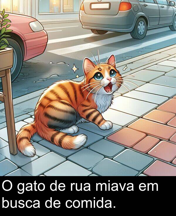 gato: O gato de rua miava em busca de comida.