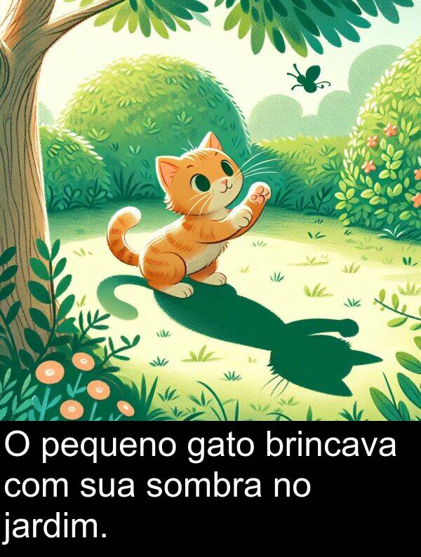 jardim: O pequeno gato brincava com sua sombra no jardim.