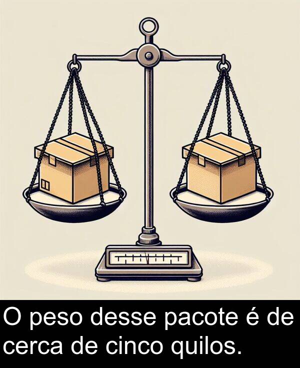 pacote: O peso desse pacote é de cerca de cinco quilos.
