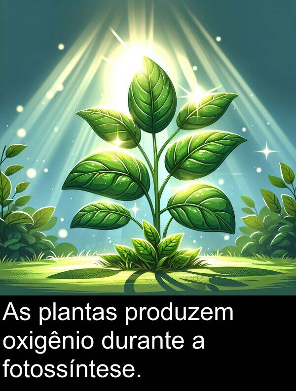 durante: As plantas produzem oxigênio durante a fotossíntese.