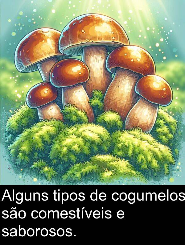 saborosos: Alguns tipos de cogumelos são comestíveis e saborosos.