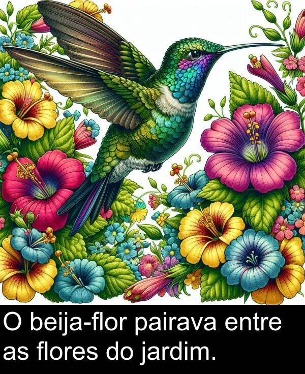 pairava: O beija-flor pairava entre as flores do jardim.