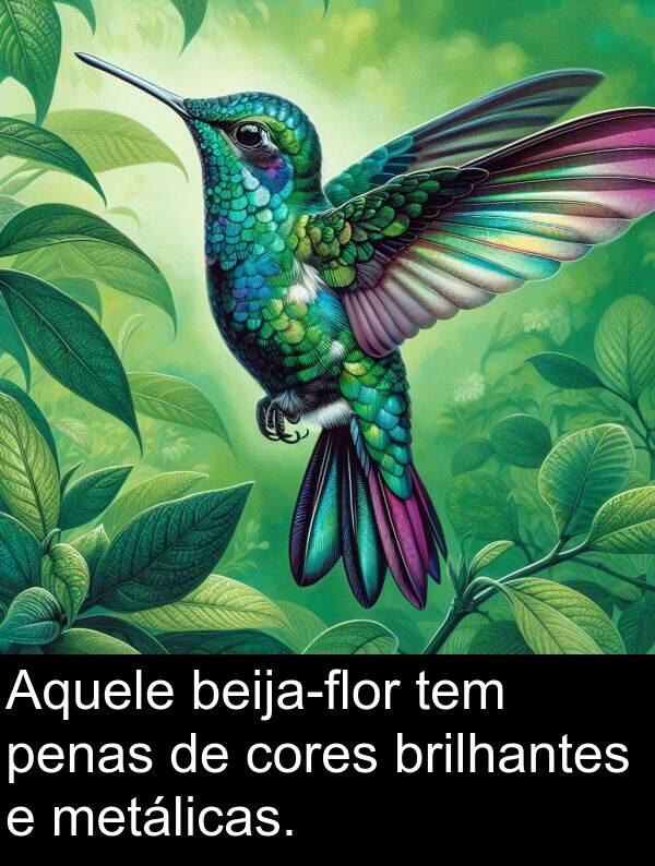 metálicas: Aquele beija-flor tem penas de cores brilhantes e metálicas.