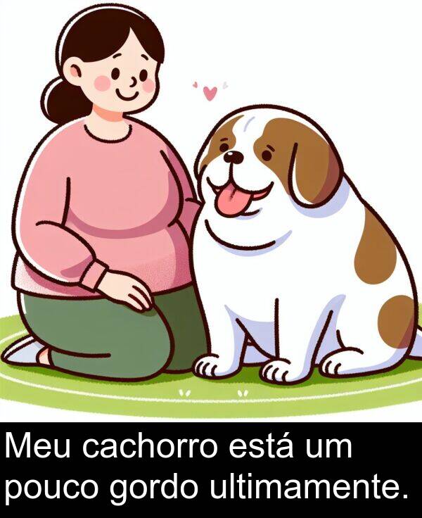 cachorro: Meu cachorro está um pouco gordo ultimamente.