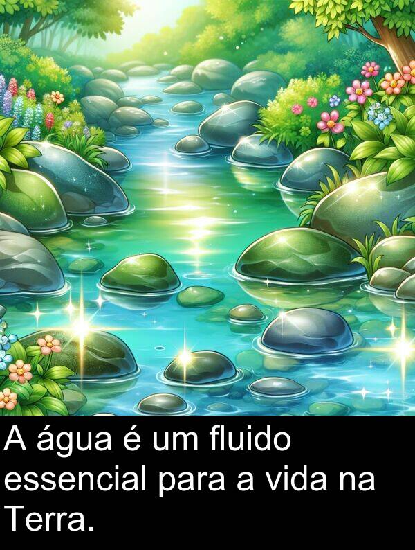água: A água é um fluido essencial para a vida na Terra.
