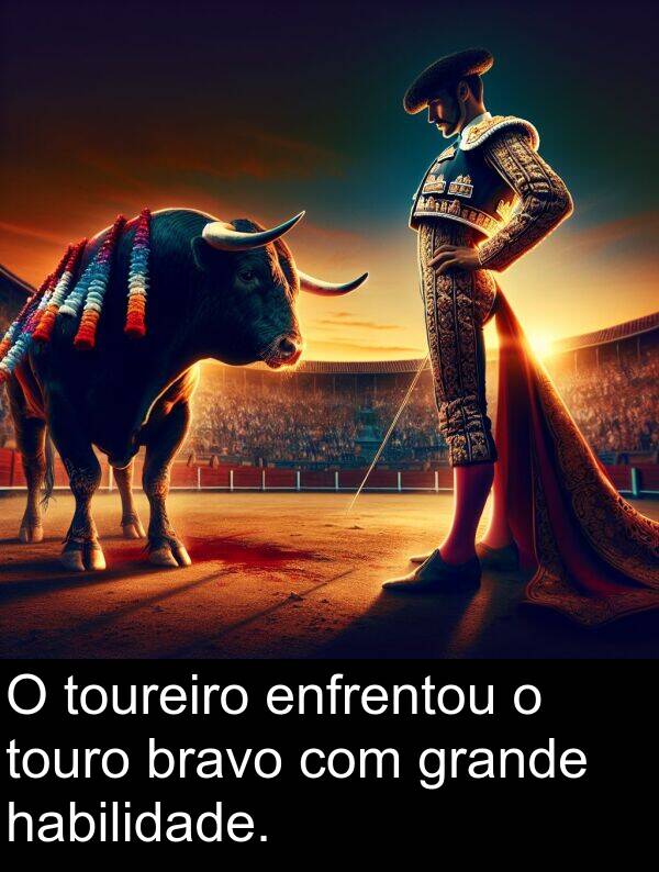 grande: O toureiro enfrentou o touro bravo com grande habilidade.