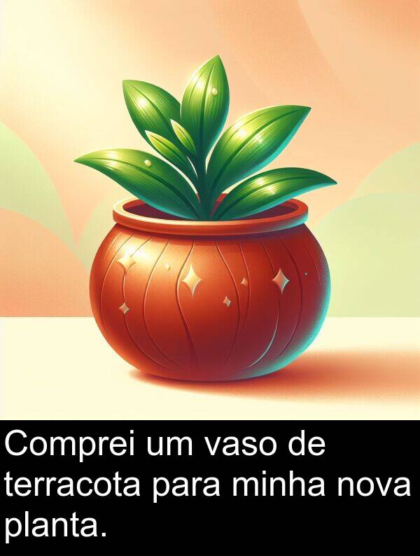 vaso: Comprei um vaso de terracota para minha nova planta.