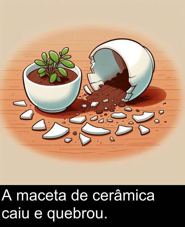 maceta: A maceta de cerâmica caiu e quebrou.