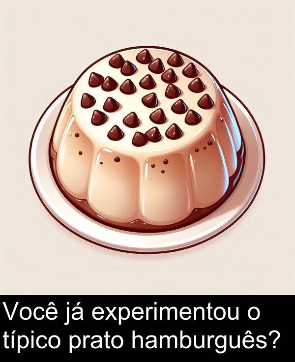 típico: Você já experimentou o típico prato hamburguês?