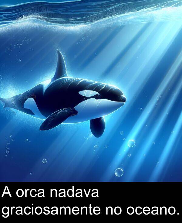 oceano: A orca nadava graciosamente no oceano.