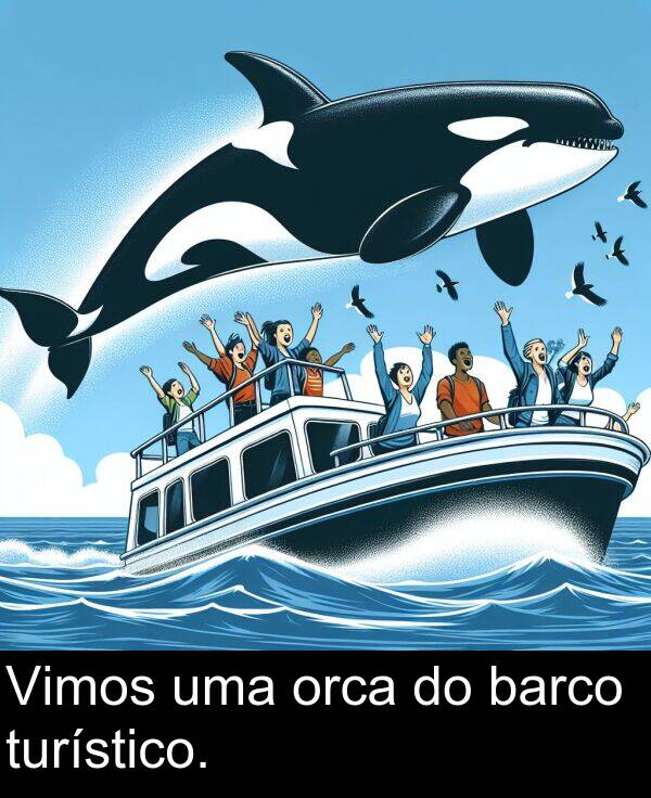 uma: Vimos uma orca do barco turístico.