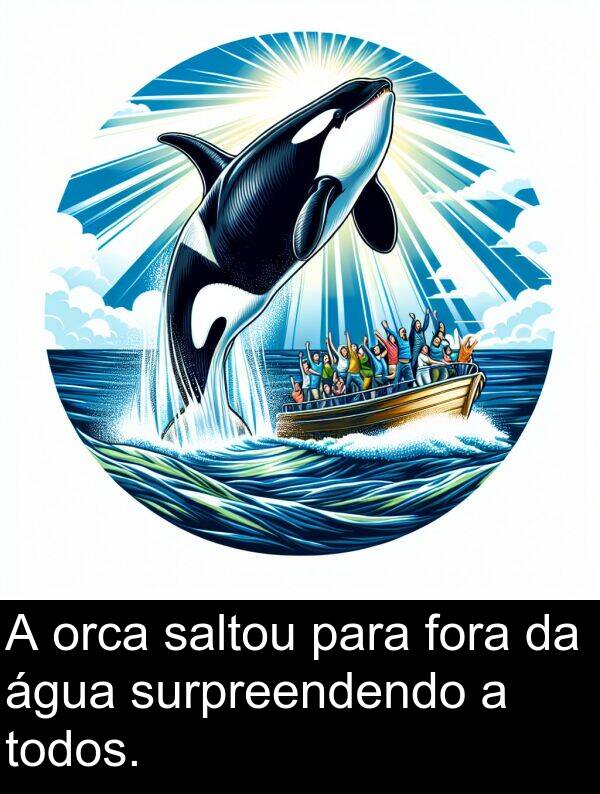 saltou: A orca saltou para fora da água surpreendendo a todos.