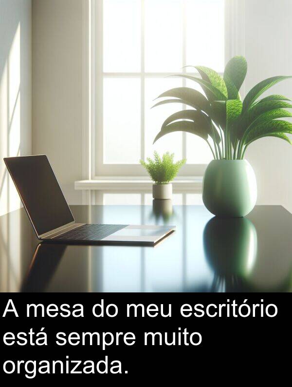mesa: A mesa do meu escritório está sempre muito organizada.