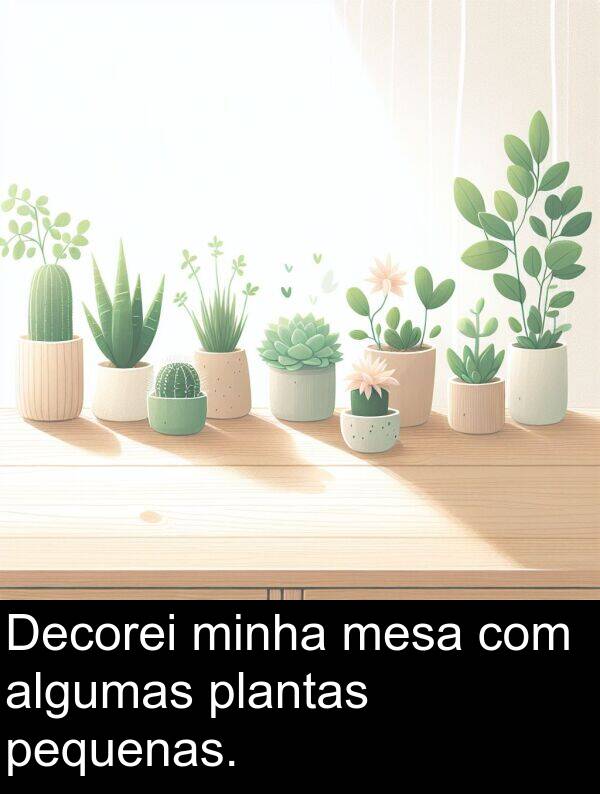 algumas: Decorei minha mesa com algumas plantas pequenas.