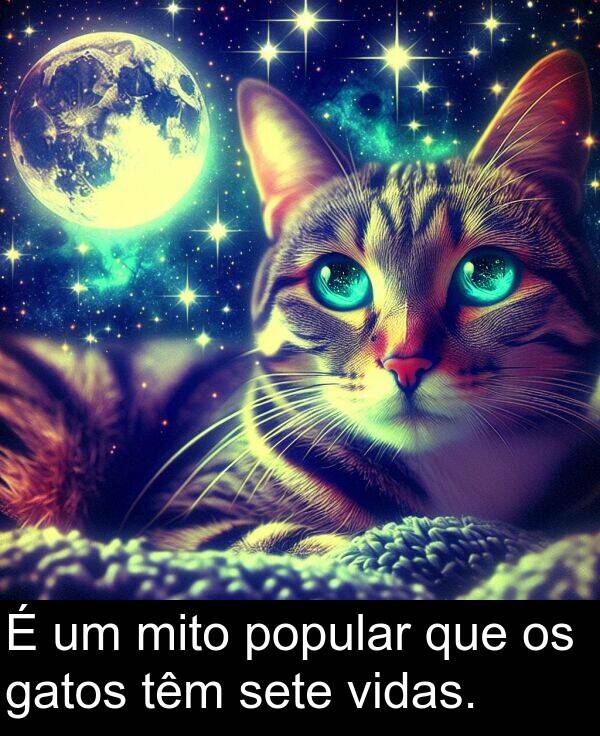 gatos: É um mito popular que os gatos têm sete vidas.