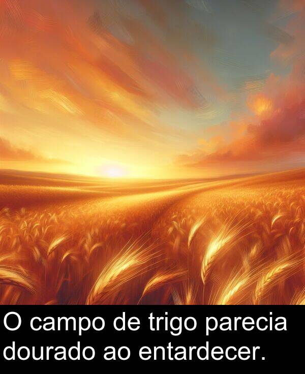 parecia: O campo de trigo parecia dourado ao entardecer.