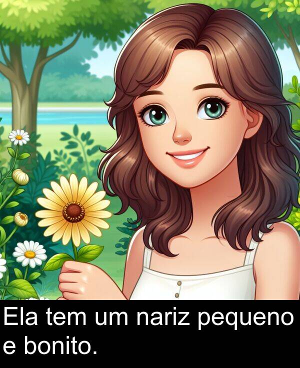 nariz: Ela tem um nariz pequeno e bonito.