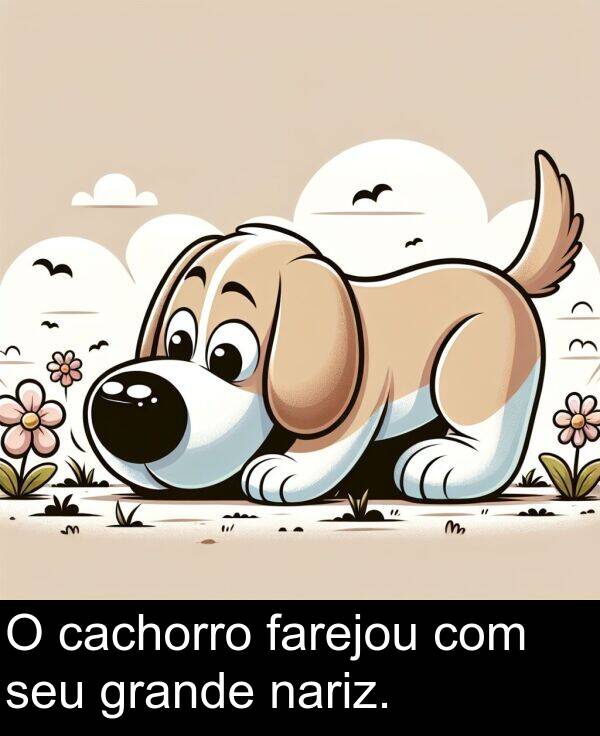 nariz: O cachorro farejou com seu grande nariz.