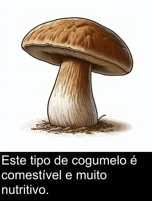 comestível: Este tipo de cogumelo é comestível e muito nutritivo.