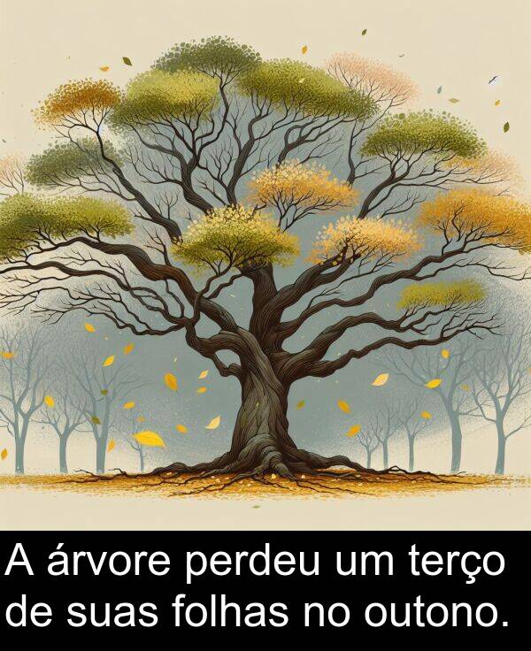 suas: A árvore perdeu um terço de suas folhas no outono.