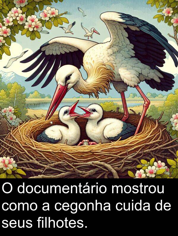 mostrou: O documentário mostrou como a cegonha cuida de seus filhotes.