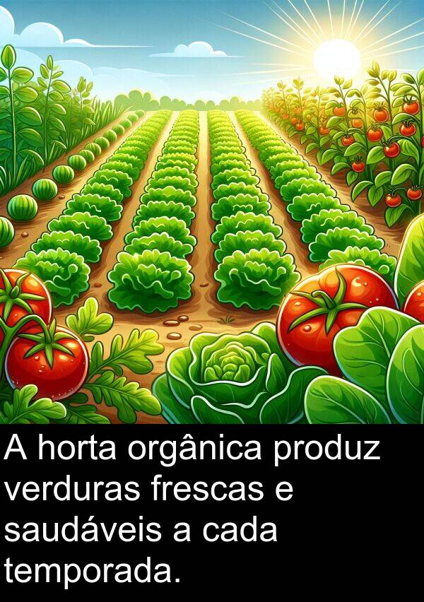 temporada: A horta orgânica produz verduras frescas e saudáveis a cada temporada.