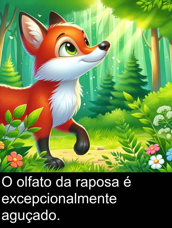 olfato: O olfato da raposa é excepcionalmente aguçado.