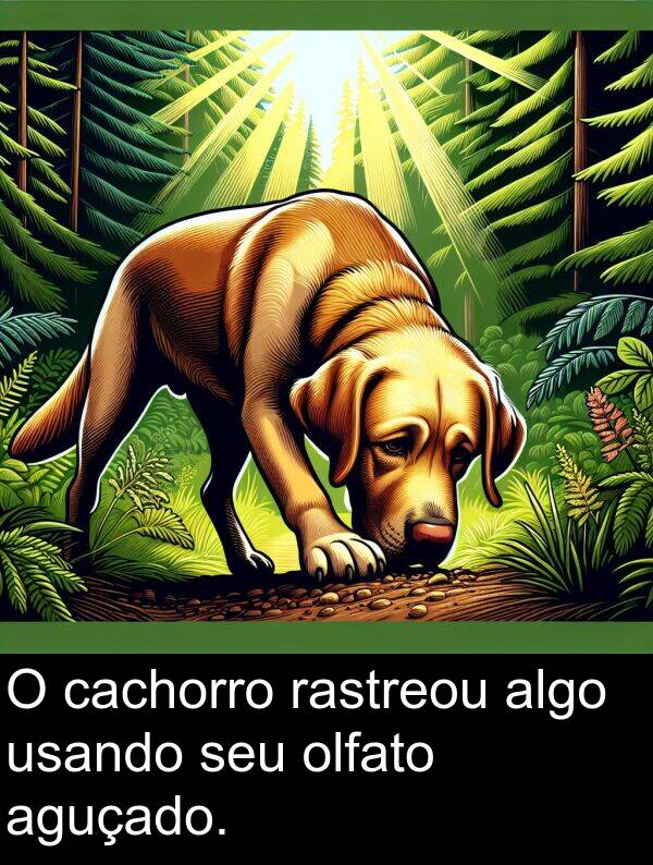 algo: O cachorro rastreou algo usando seu olfato aguçado.