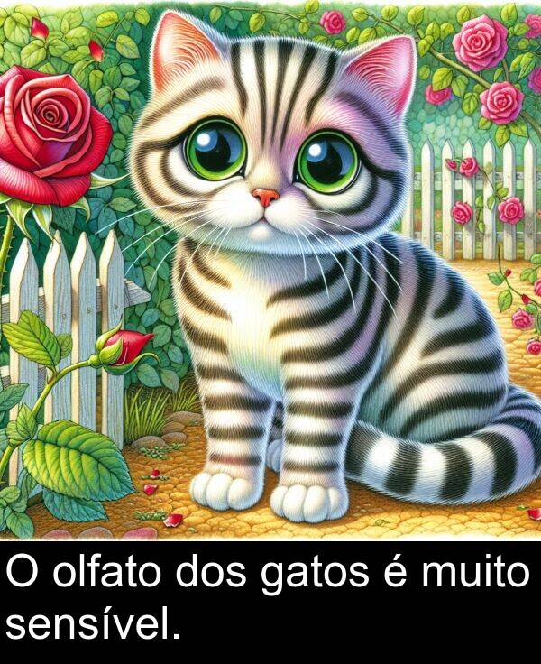 gatos: O olfato dos gatos é muito sensível.