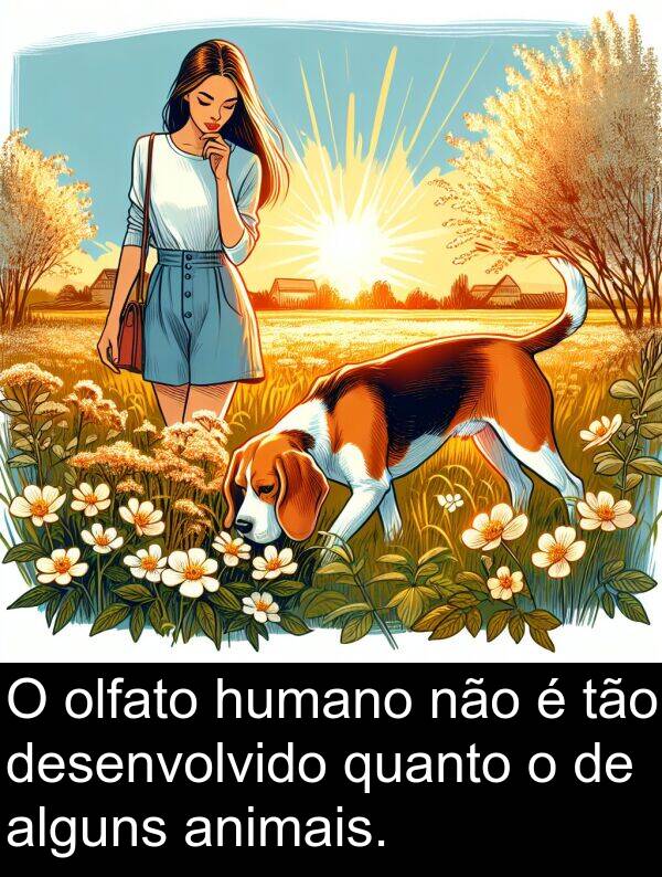 animais: O olfato humano não é tão desenvolvido quanto o de alguns animais.