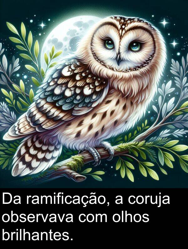 ramificação: Da ramificação, a coruja observava com olhos brilhantes.
