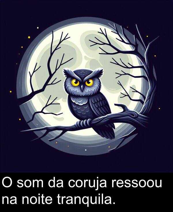tranquila: O som da coruja ressoou na noite tranquila.
