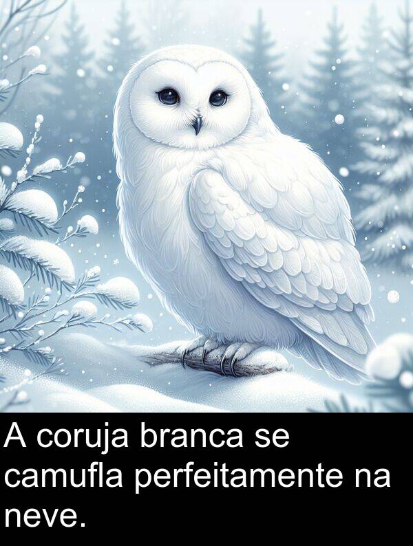 camufla: A coruja branca se camufla perfeitamente na neve.