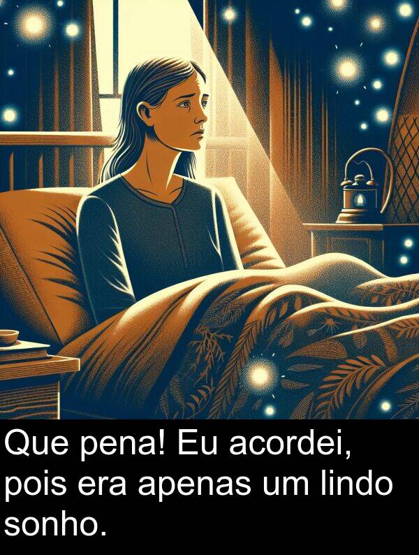 acordei: Que pena! Eu acordei, pois era apenas um lindo sonho.