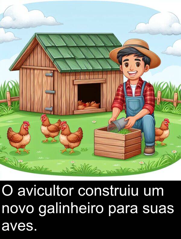 galinheiro: O avicultor construiu um novo galinheiro para suas aves.