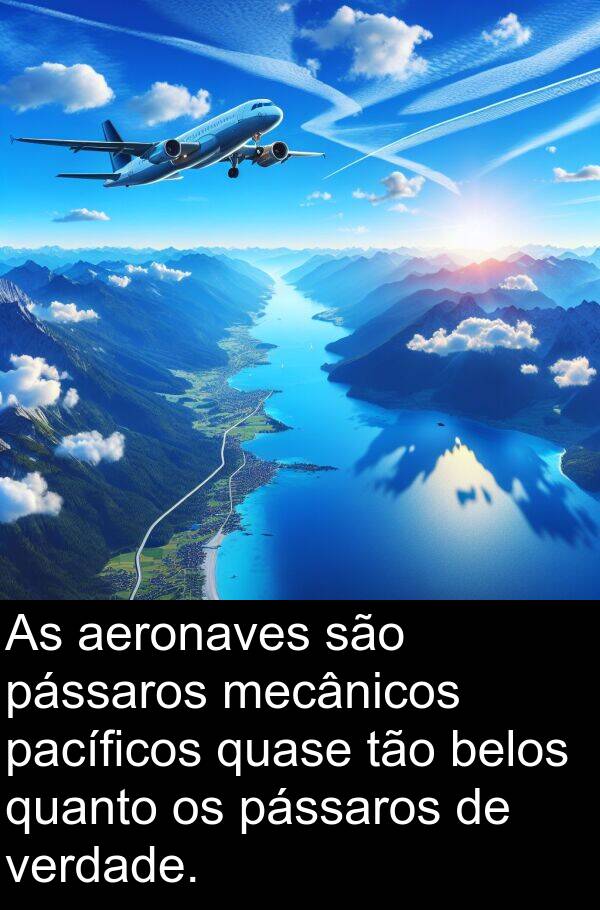 pacíficos: As aeronaves são pássaros mecânicos pacíficos quase tão belos quanto os pássaros de verdade.