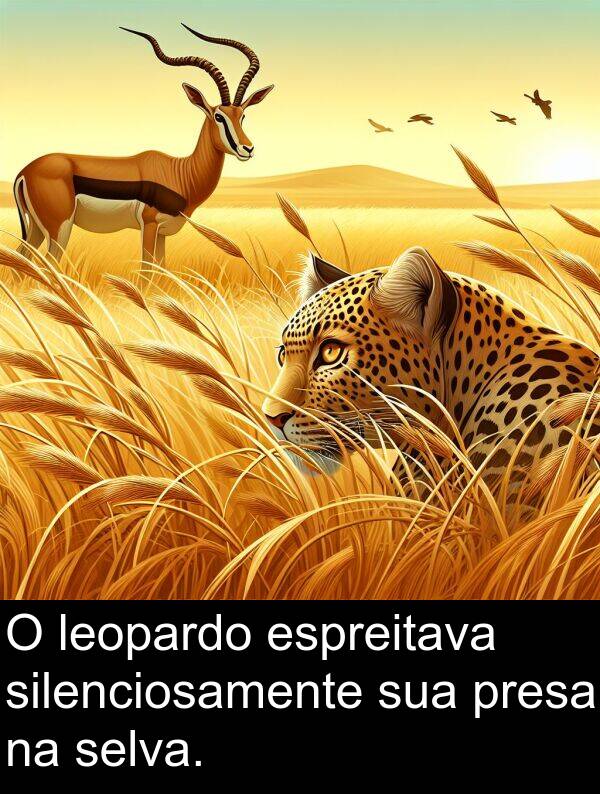 presa: O leopardo espreitava silenciosamente sua presa na selva.