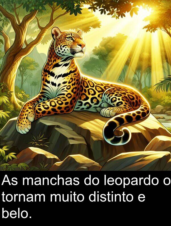 manchas: As manchas do leopardo o tornam muito distinto e belo.