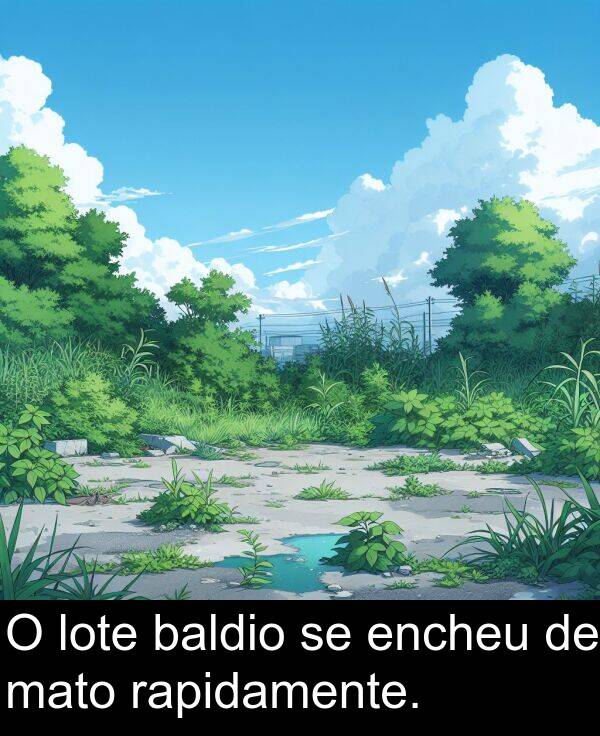 rapidamente: O lote baldio se encheu de mato rapidamente.