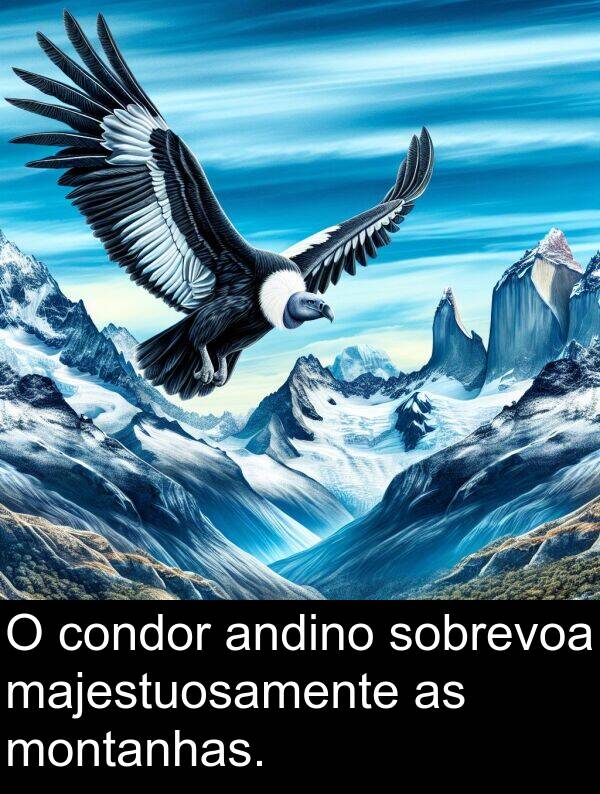 majestuosamente: O condor andino sobrevoa majestuosamente as montanhas.