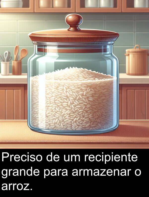 armazenar: Preciso de um recipiente grande para armazenar o arroz.