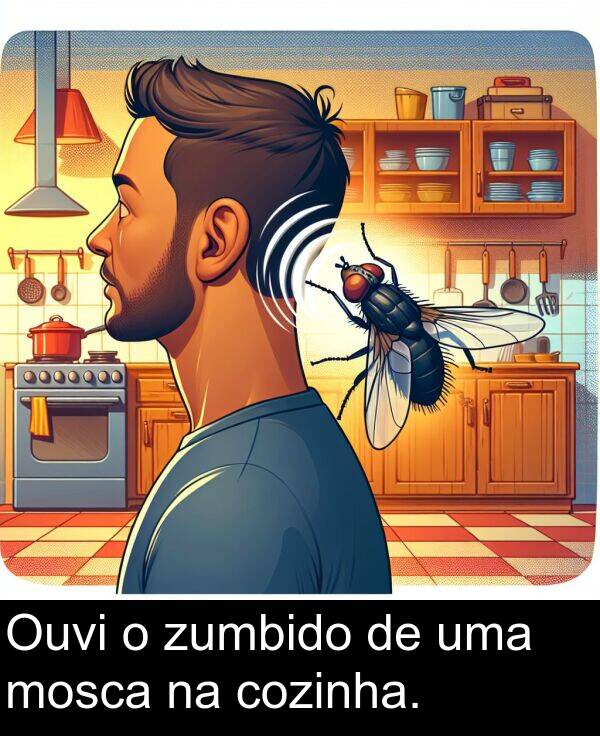 uma: Ouvi o zumbido de uma mosca na cozinha.