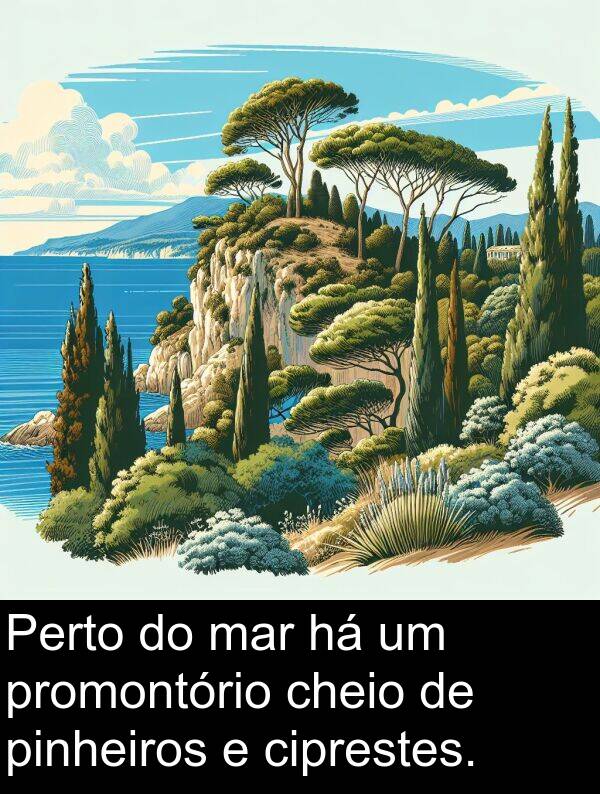 mar: Perto do mar há um promontório cheio de pinheiros e ciprestes.