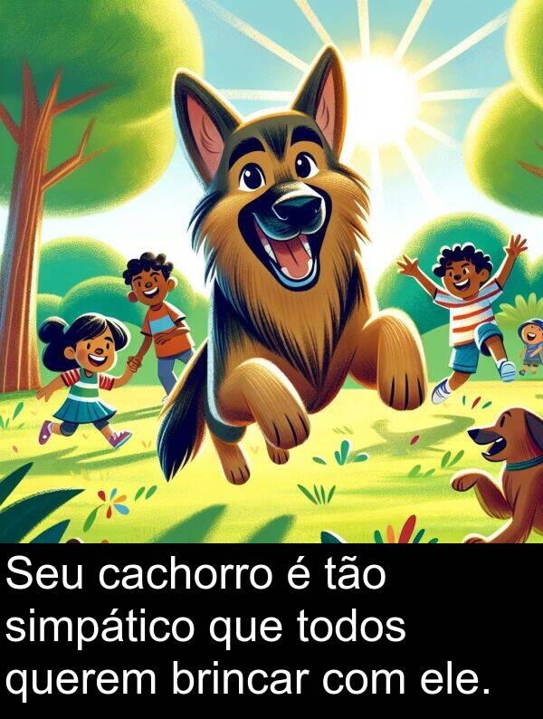 tão: Seu cachorro é tão simpático que todos querem brincar com ele.