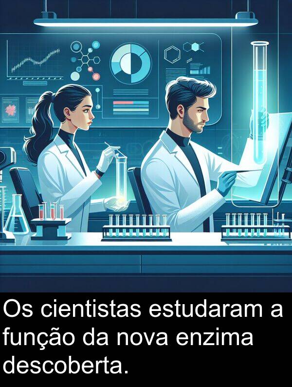 função: Os cientistas estudaram a função da nova enzima descoberta.